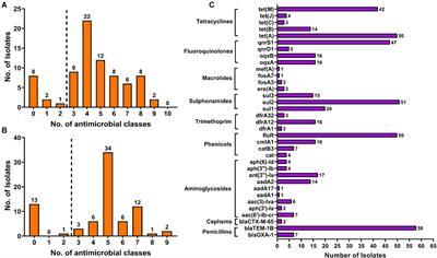 Genomic Investigation of Salmonella Isolates Recovered From a Pig Slaughtering Process in Hangzhou, China